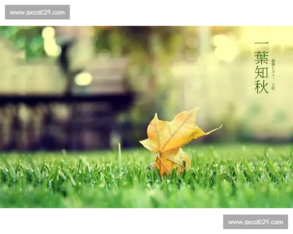《在晨曦中聆听心灵的低语,感悟人生的每一个微小瞬间》 《在晨曦中聆听心灵的低语,感悟人生的每一个微小瞬间》
